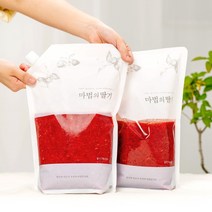 복음자리 진심의 딸기청 딸기라떼 과일청 1kg, 딸기청580g 2개