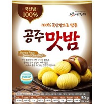 우리밤으로 만든 꿀맛 공주맛밤 10봉, 단품