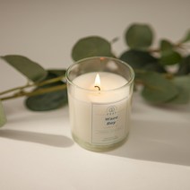 데이리브 프레이 라이트 미듐자 캔들, 프레이 라지자캔들 세이시앤시트러스