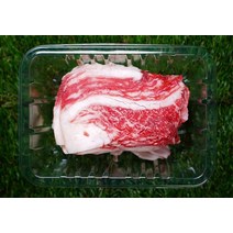 꿀꿀도매 국내산 한우 1등급 차돌박이400g