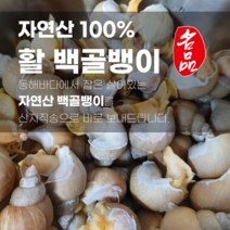 이브수산 동해바다 활 백골뱅이 1kg, [생물] 소 1kg 35-55 내외
