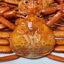 연지홍게 포항 구룡포 홍게 자숙 2.5kg, 상세페이지 참조, 본상품선택