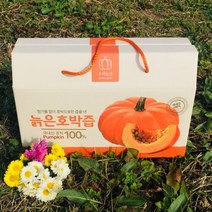 나애게 전남무안 늙은 호박즙100mlx30팩, 단품없음, 30개