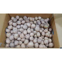 국내산 햇감자 5kg 10kg 20kg, 감자 소(조림용) 5kg, 1개