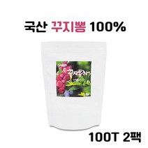 꾸지뽕 차 효능 꾸지뽕차 100개 티백 효과 꾸지뽕잎차 국내산 100% 구지뽕차 꾸지뽕티백 꾸찌뽕 삼각티백, 200개