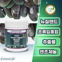 엔조라이프 뉴질랜드 초록입홍합 추출물 20000mg 엔조제놀 식물성 300캡슐 약10개월, 1통(300캡슐) 10개월분