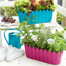 엠사 타원화분커버, 그린