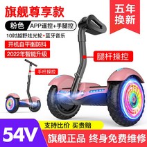 호버보드 10inch 팔걸이 킥보드 투휠보드 전동휠, C01-36V, T16-54V플래그 존귀판