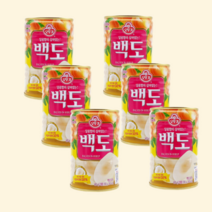 백도 복숭아 과일 통조림 400g x 6개