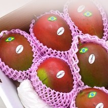 애플망고 선물세트 2kg 고당도 브라질 애플망고 항공직송