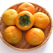 창원단감10kg 김맹차 단감 아삭 햇 태추 부유 고당도