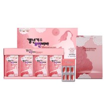 갱년기 우먼 비바 갱년기에 좋은 40대 50대 60대 70대 중년 중반 여성 여자 필수 종합 비타민 영양제 건강식품 회화나무 열매추출물 감마리놀렌산 글루코사민크림 사은품 증정, 120캡슐(2개월) x 1개, 0