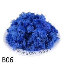 스칸디아 이끼 모스 액자 실내공기정화식물20/40g 자연 인공 식물 이끼 DIY 홈 벽 장식 정원 마이크, 06 B06_01 20g