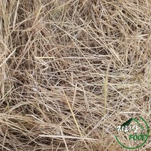 지푸라기 2kg동물방한용 볏짚 바베큐2kg, 1개, 2kg