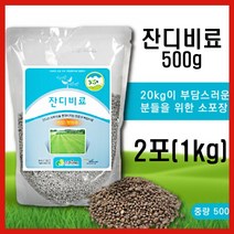 잔디비료500g(사용편리한소포장) 2포 잔디전용 복합비료 골프장 정원 한국잔디 들잔디, 잔디비료500g(사용 편리한 소포장) 2포(1kg)