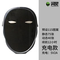 LED마스크 커스터마이징 할로윈마스크 사이버틱 멋있는 할로윈 파티 가면 간지, Type-C 충전 모델