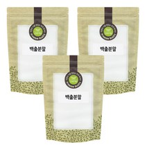 백출 분말 가루 300g 3팩 (총900g) 국산 국내산, 단품, 단품