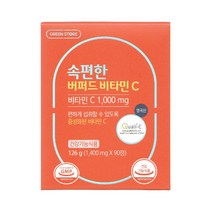 그린스토어 속편한 버퍼드 비타민 C 1000 약국정품, 2통, 1400mg x 90정