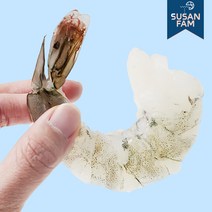 생 칵테일새우 1kg(실중량900g) 깐 새우살 탈각 특품 특대 감바스용, 26-30 베트남