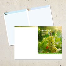 계절 디자인 주보용지 교회 순서지 예배 주보지 안내지 청년부 주일학교 교회행사 성경학교 맥추 추수감사 성탄절 사순절, EA-09
