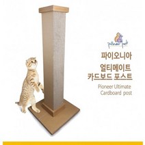 파이오니아 얼티메이트 카드보드 포스트 캣타워 스트레스해소 장난감 운동기구 휴식공간 캣 고양이 튼튼한스크래쳐 포스트리필 평판형, 1개, 고양이 얼티메이트 튼튼한 스크래쳐 카드보드 포스트 캣타워