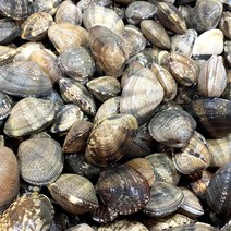 산지직송 싱싱한 국산 남해 깐바지락살(냉동) 250g x 2팩/4팩 조개탕 바지락 칼국수 된장국 조개구이, 250g x 2팩