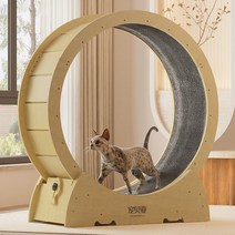 스크래치 보드 단단한 나무 고양이 러닝 휠 턴테이블, S