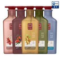 [애경] 동의 홍삼 헤어 케어 샴푸/린스 500ml+트리트먼트 180ml, 상품명:동백홍삼 샴푸 500ml