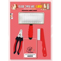 장모견용 강아지빗세트 슬리커 눈꼽빗 애견 펫브러쉬 말티즈 비숑빗 털정리