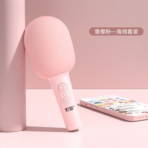 가정용노래방기계 가정용 노래방기계 이동식 반주기 국가 인공물 휴대 전화 집, 떨어지는 체리 가루 스펀지 세트, 공식 표준