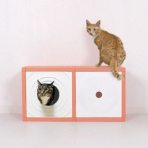 이쁜이 리빙박스 55L, 옐로우_화이트