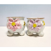 소담다육화분 2개셋트