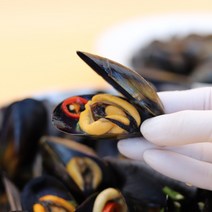 창녕점빵 싱싱한 국내산 활 홍합1kg 뜨끈한 국물용 다듬피홍합, 다듬이 활홍합 10kg, 1개
