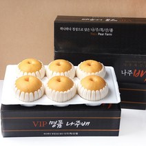장보남 나주배 선물세트 5kg(8-10과) 5kg(6-7과) /우체국택배, 1박스, 정품 나주배 선물세트 5kg(6-7과)