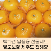 [전국 당도 1등] 제주 산지직송 황금향 천혜향 선물세트, 로얄과 2kg
