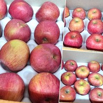 못생겨도 맛있는 가정용 흠집 사과 야채과일 야과몰 못난이 apple, 대, 7kg