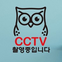 [KT알파쇼핑]생활스티커_부엉이 CCTV촬영중1