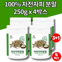 100% 인도산 차전자피 차 과립 질경이 차 씨앗 데일리 식이섬유 섬유질 화이버 자전차피 차전자 가루 분말 파우더, 4박스, 4개