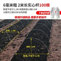 프리미엄디자인온실 베란다화분겨울나기 겨울베란다식물 미니하우스활대 비닐하우스패드 자재 보온재 설치 하우스용 만들기 서리방지부직포 조립식비닐하우스 농업 작은 아치 창고 지원 야채, 6mm 두께 2m 솔리드 봉 100개