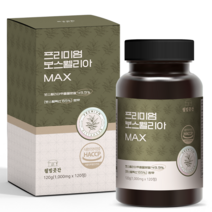프리미엄 보스웰리아 MAX 120정 인도산보스웰리아 보스웰릭산 65% HACCP인증, 120정 X 1개