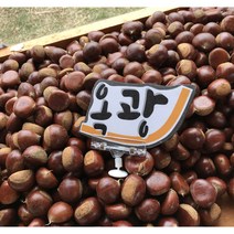 〔주암농원〕 2022년 수확 옥광 햇밤 첫 출하 유기농 알밤 부여밤 옥광밤 특수밤 특/대/중 1kg, 특