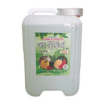 대유 물푸레 1호 2호 10L 대용량 수경재배 관주용 양액 액비 비료, 물푸레 10L 2호 B