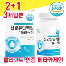 네덜란드 산양유 단백질 해썹 사양유 산야유 상양유 60% 베타 미셀라 카제인 담백질 분리 유청 단백 WPI 고함량 고순도 프로틴 프로테인 유청 칼슘 BCAA 퀄리고트 알약 물과함께, 2+1 3개월분 - 다니마켓