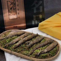 자연산 강원도 더덕 야생 산 깐 더덕 더덕주 담금주 겨울 더덕차 더덕요리 더덕구이 더덕무침 섬유질 명절 선물세트, 더덕 1세트