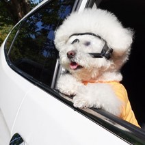 비숑프리제 강아지 라이딩 투명 고글 선글라스 애견 반려견 눈보호 중형 대형 길이조절 가능, 중/대형 강아지 고글