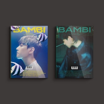 백현 BAMBI 미니 3집 PHOTO BOOK VER. 커버2종, Bambi ver(옐로우), 지관통 포스터
