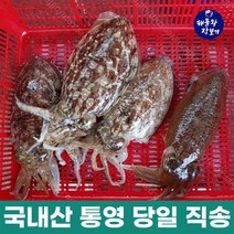 해물왕장보기 국산 손질 갑오징어 500g(2~3미), 1개