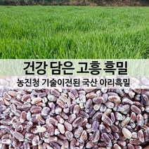[진도장모와서울큰사위] 국산 아리 흑밀 검정통밀 쫀득한식감 농진청개발, 2개, 1kg