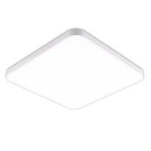 성진조명 LED 방등 60W 삼성칩 플리커프리, 6500K(주광색)