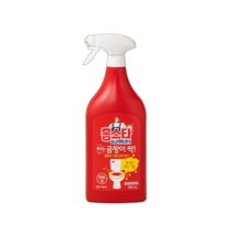 홈스타 뿌리는 곰팡이 싹 900ml